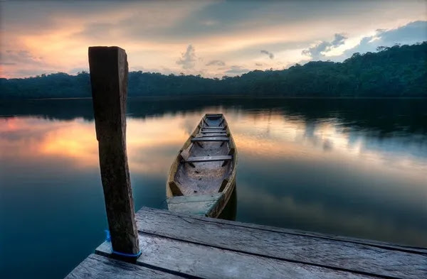 Taman Nasional Madidi