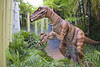 Raptor Encounter