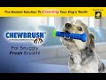 Dog Chew Toys Dog Toothbrush Stick Teeth Cleaning Brush Dental for Medium Large Dog, Puppy Christmas Easter Birthday Gifts, Outdoor Squeaky Toys for Aggressive Chewers Interactive Tough Toys
