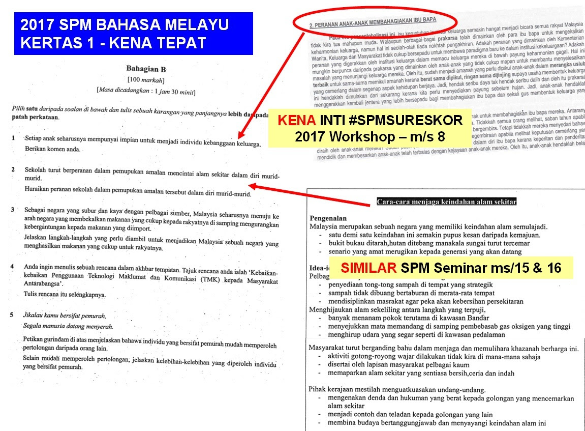 Search Results spm By Andrew Choo
