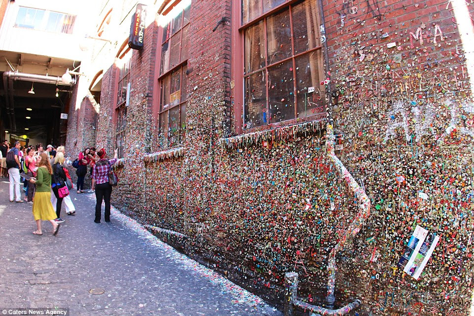 Sticky situation: The brick wall is decorated with thousands of pieces of colourful bubble gum