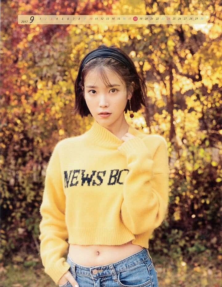 Image result for iu 2017