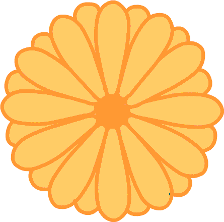 キク 菊 野菊 イラスト 無料