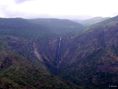 Rat Tail Falls
