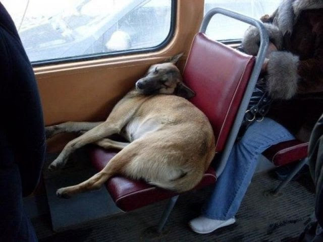 Daily picdump (86 pics)