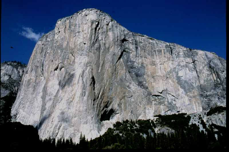 The rock