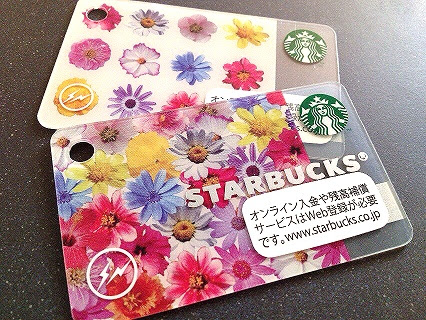 ミニスタバカード発売 かまくら凛の日々是好日