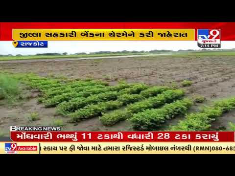 Rajkot district cooperative bank to provide loans to flood hit farmers at zero interest| TV9News
