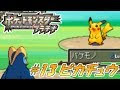 無料ダウンロード ピカチュウ プラチナ 327353-ピカチュウ プラチナ 育成