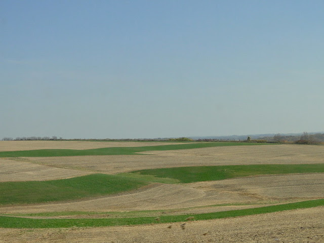 DSC09044