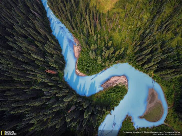 natureza