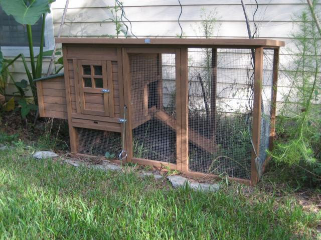 Free chicken tractor plans for 12 chickens ~ nellcolas