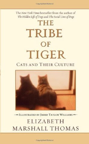 The Tribe Of Tiger Cats And Their Culture