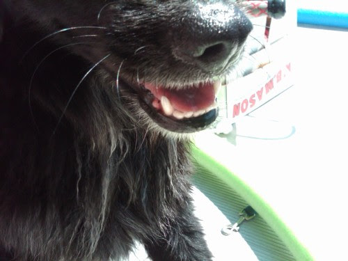 IMG00313-20090712-1414