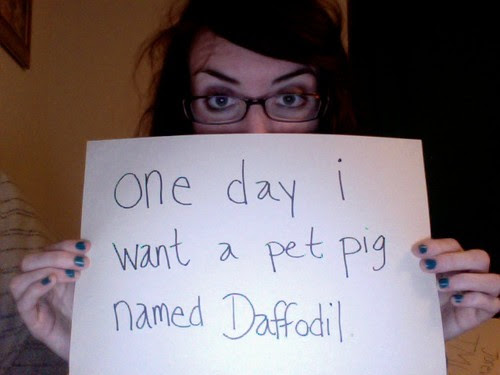 daffodil!