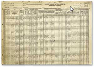 Census record