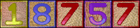 free web counter