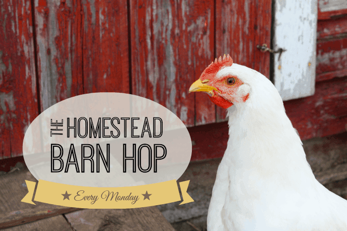 homestead barn hop linky