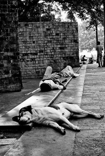 That's Life, Mumbai 2011