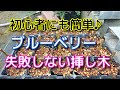 ブルーベリー 挿し木 時期 479960-ブルーベリー 挿し木 時期