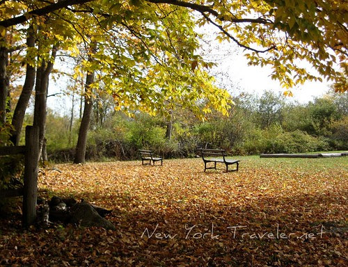 Autumn Repose