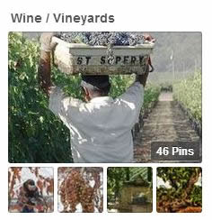 Wine / Vineyards