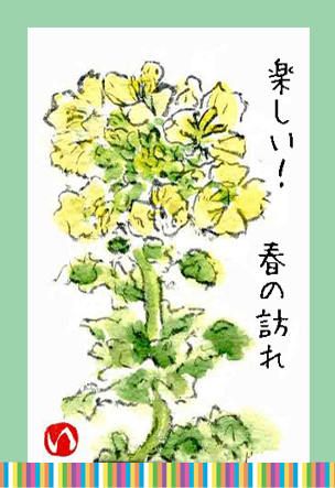 菜の花 絵手紙のページ 楽天ブログ