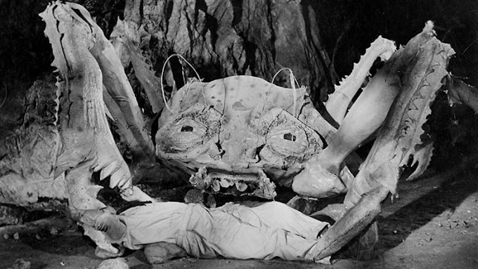 Watch Full Attack of the Crab Monsters (1957) Movie HD Free Online
Stream