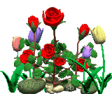 http://d4.violet.vn/uploads/blogs/730254/f9977_1.gif