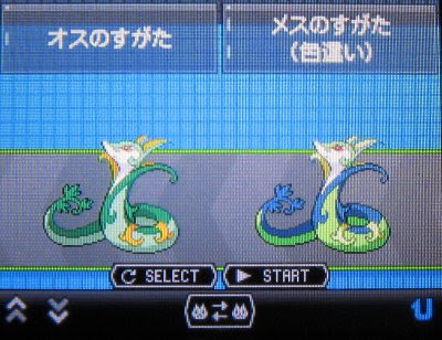 テトのひだまり日記 色違いポケモン