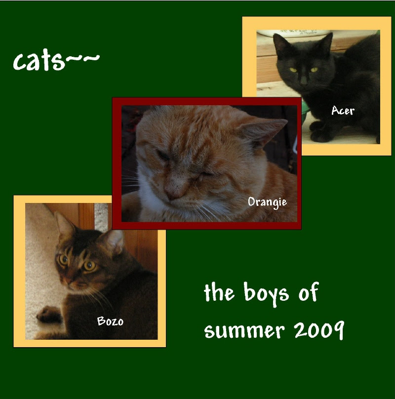 boys of summer