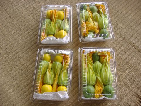 花ズッキーニ出荷 もうすぐ いけどき お茶にするばい