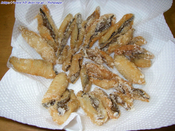 メバルの唐揚げ 海の魚図鑑 番外 遠征釣行記 普段の釣行記