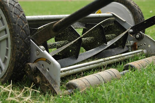 Reel Mower