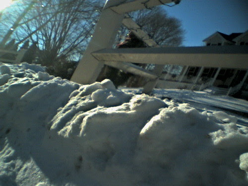 pet cam 28 dec 2010