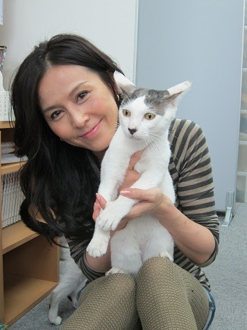 ファッションではなく本当に猫好きな5人の芸能人はこの人 猫になりたい 猫 パラダイス