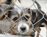 Please sign the petition today!