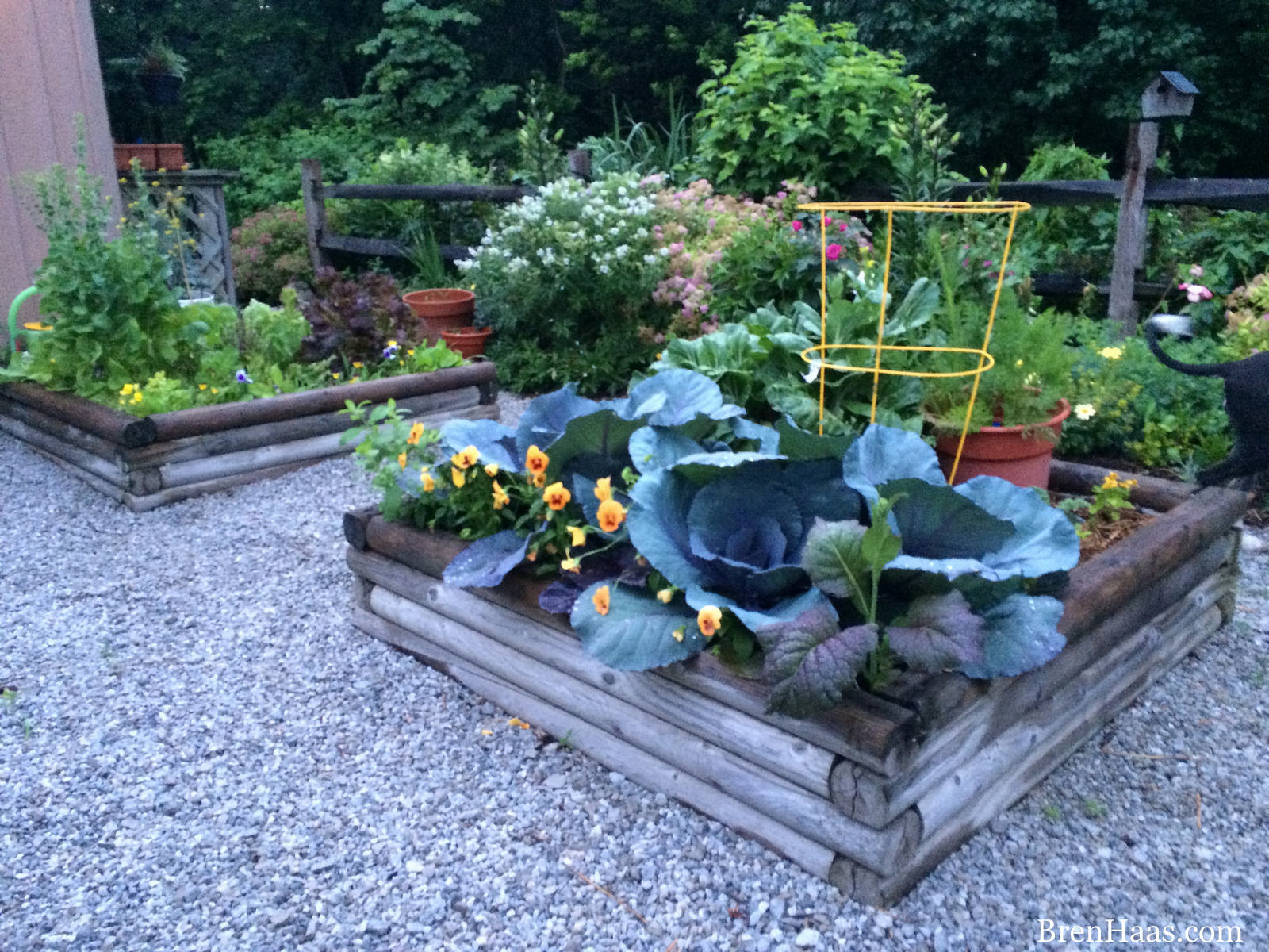How To Enhance Your Garden With Gravel