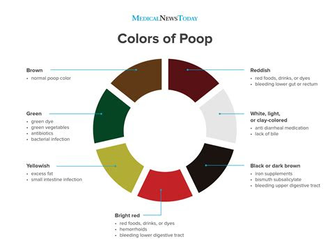 Normal stool color can range from light yellow to brown to almost black. why is my poop green stool colors explained