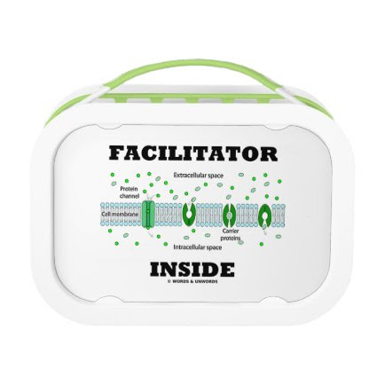 Facilitator Inside (Facilitated Diffusion) Yubo Lunchbox