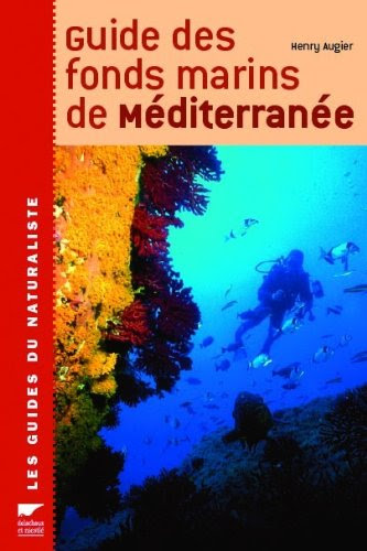 Guide des fonds marins de Méditerranée