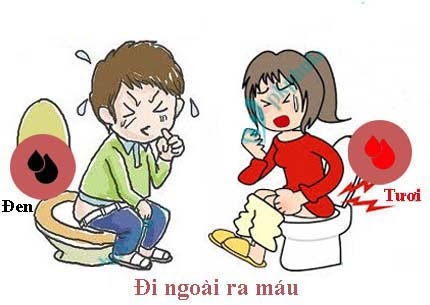 Đi ngoài ra máu là bệnh gì