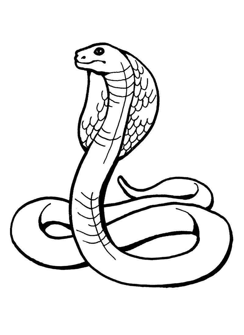 Mewarnai Ular Naga Pewarna A