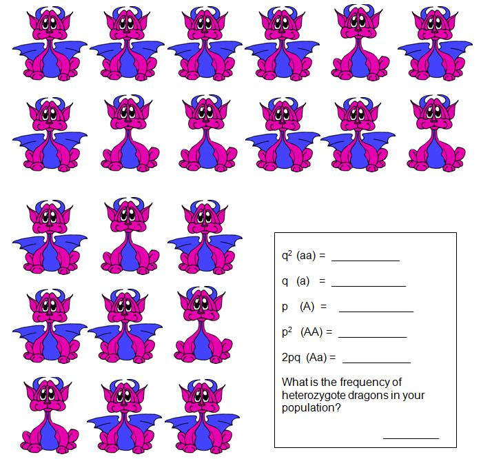 Hardy Weinberg Problem Set