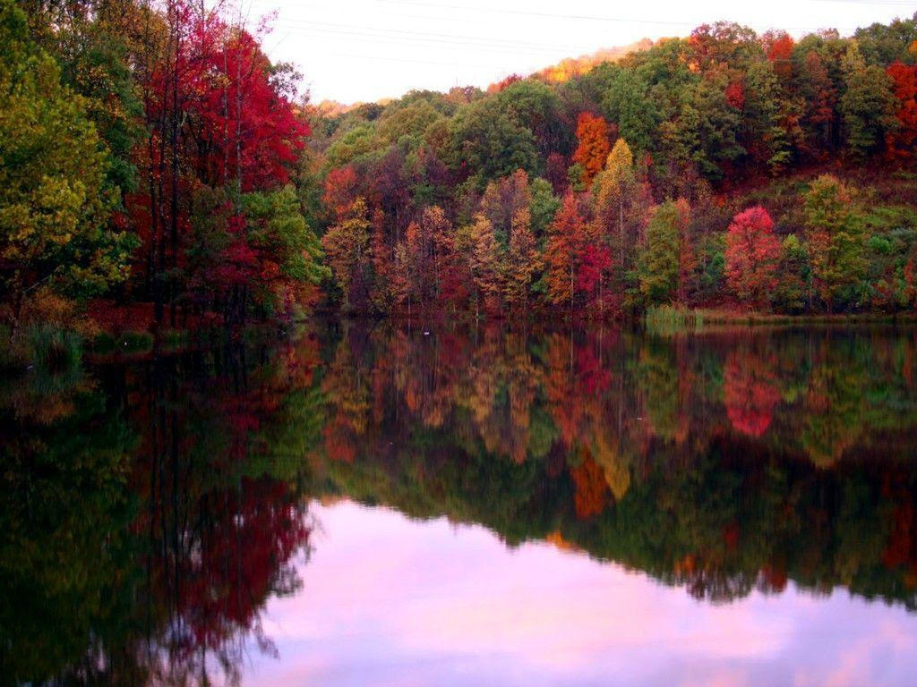 Fall Foliage Wallpapers Wallpaper Cave HD Wallpapers Download Free Map Images Wallpaper [wallpaper684.blogspot.com]