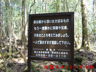 心霊スポットひとり旅 山梨県 青木ヶ原樹海