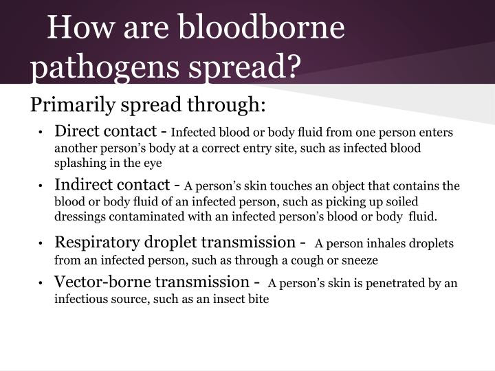 PPT - Bloodborne Pathogen PowerPoint Presentation - ID:2714974