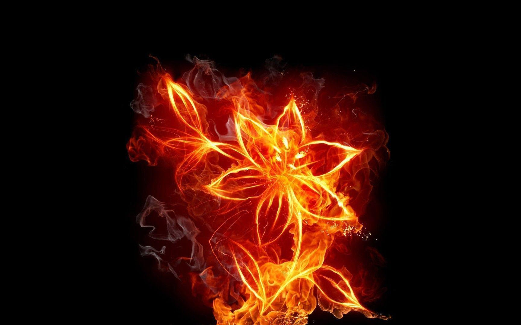 Burn fire flower flames flowers wallpaper | AllWallpaper ...
