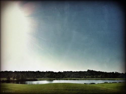 356/365- The great outdoors by elineart