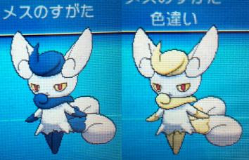 ポケモン ニャオニクス 色違い